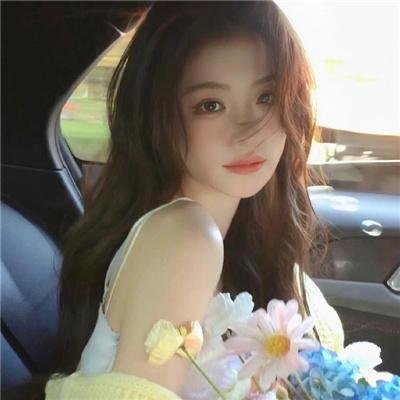 森林进化论 第二季 在线观看